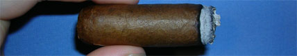 Flor de Oliva Corojo - 4